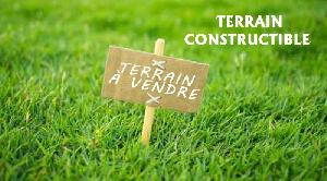 terrain-constructible